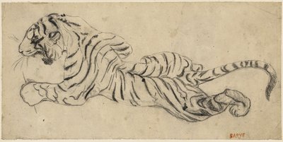 Tiger, ca. 1835 (schwarze Kreide auf Transparentpapier, auf Karton montiert) von Antoine Louis Barye